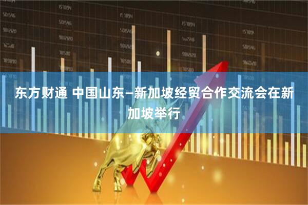 东方财通 中国山东—新加坡经贸合作交流会在新加坡举行