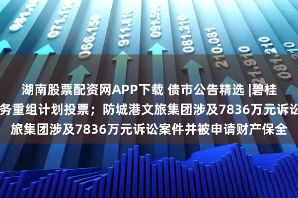 湖南股票配资网APP下载 债市公告精选 |碧桂园将于11月举行境外债务重组计划投票；防城港文旅集团涉及7836万元诉讼案件并被申请财产保全